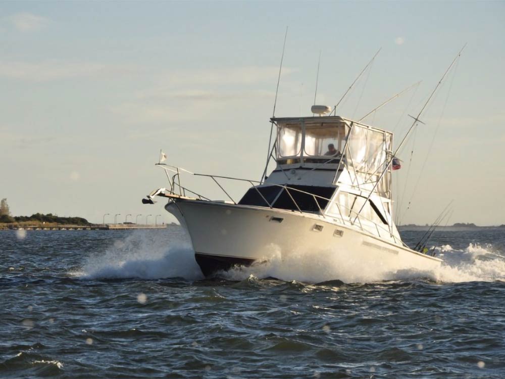 fishing trips out of captree