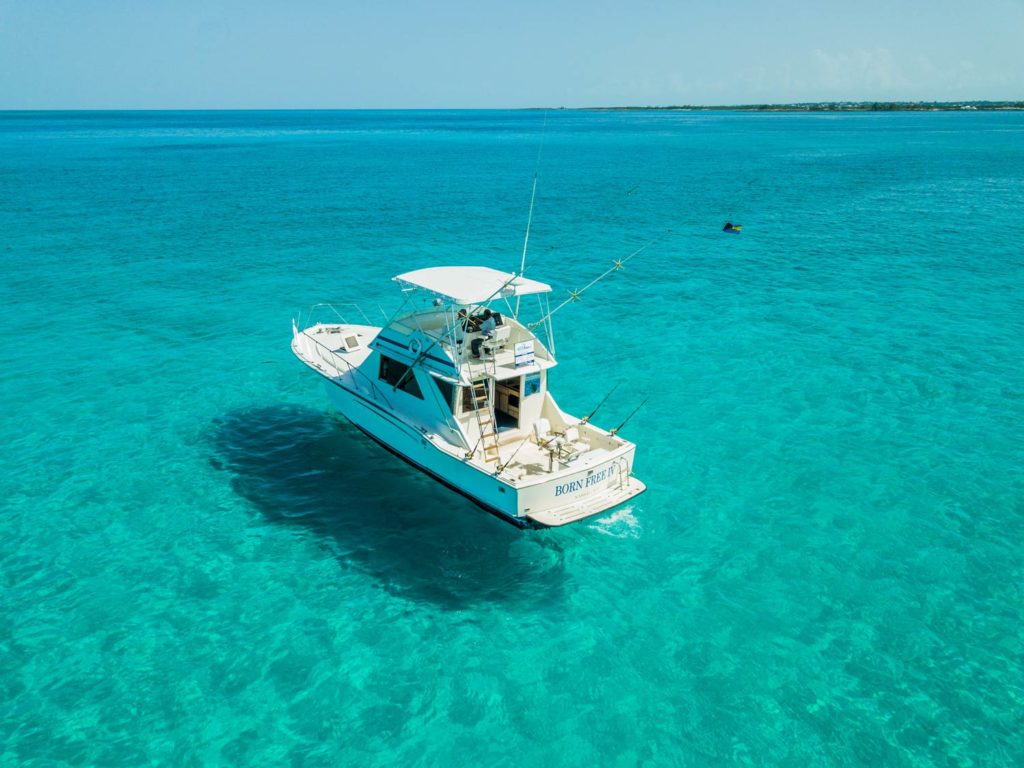 Fishing Charters Smith Mountain Lake