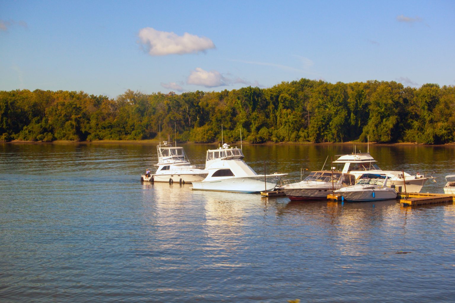 Hudson River Fishing The Complete Guide (Updated 2023)