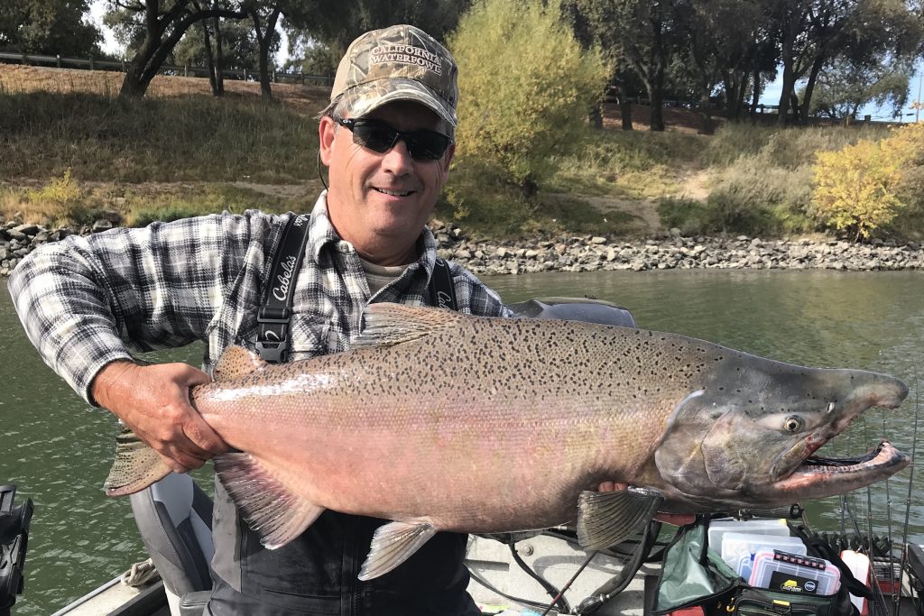 Types of Salmon The Complete Guide (Updated 2023)