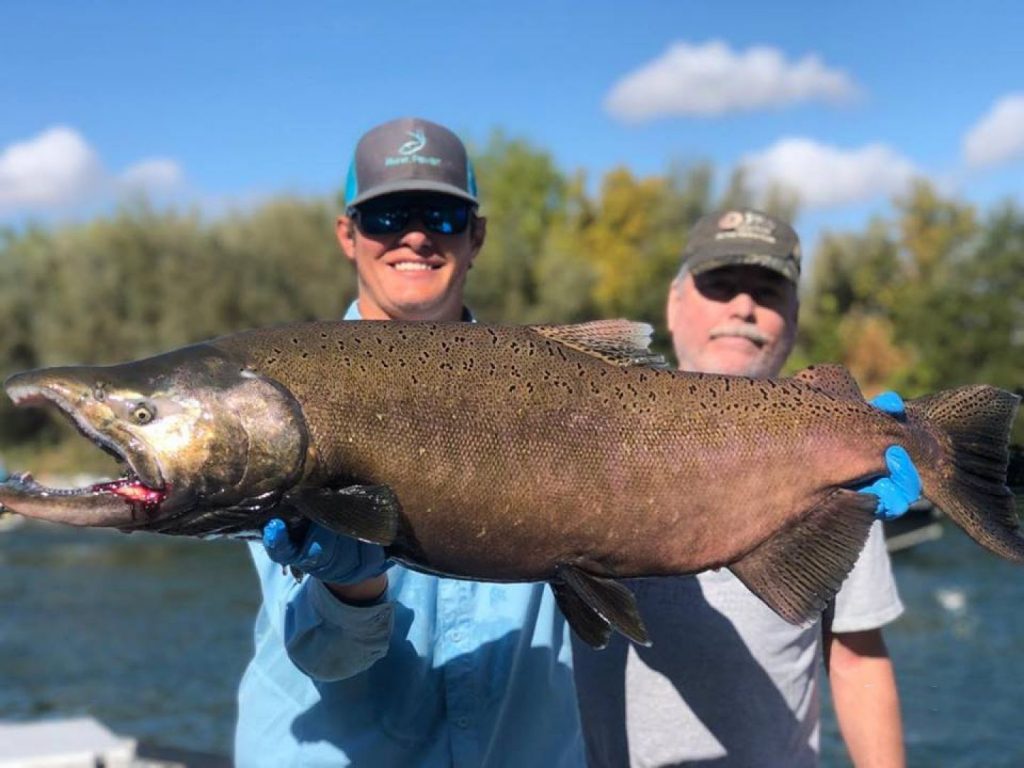 Trinity River Fishing The Complete Guide