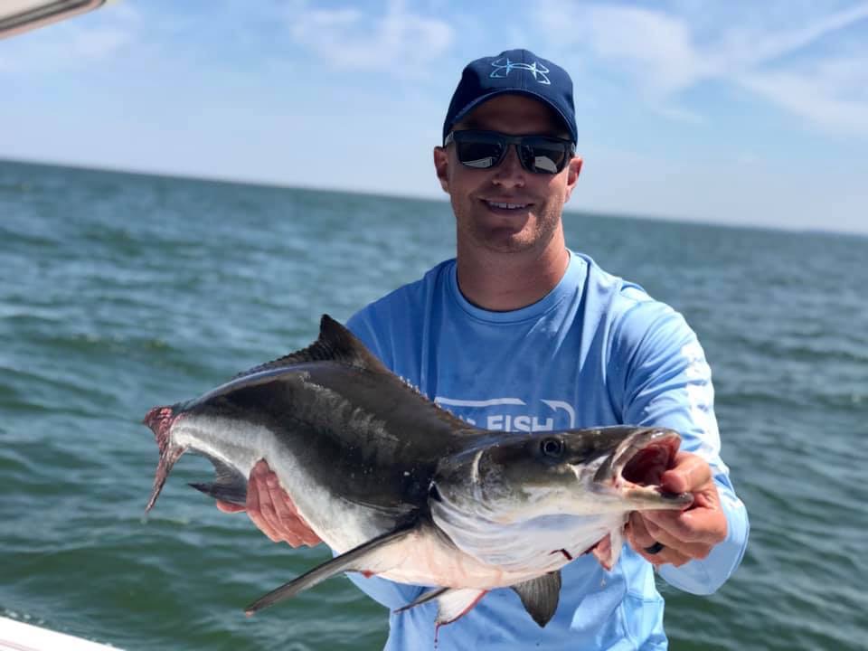 Um pescador sorridente posa com uma Cobia que ele pegou em um dia ensolarado.