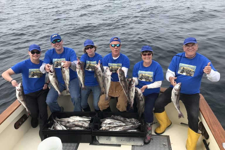 Cod vs. Haddock All You Need to Know (Updated 2023)