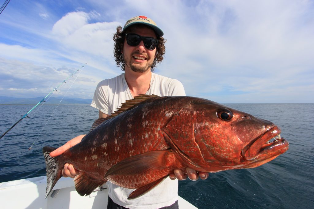 Fishing Red Snapper Fish Species