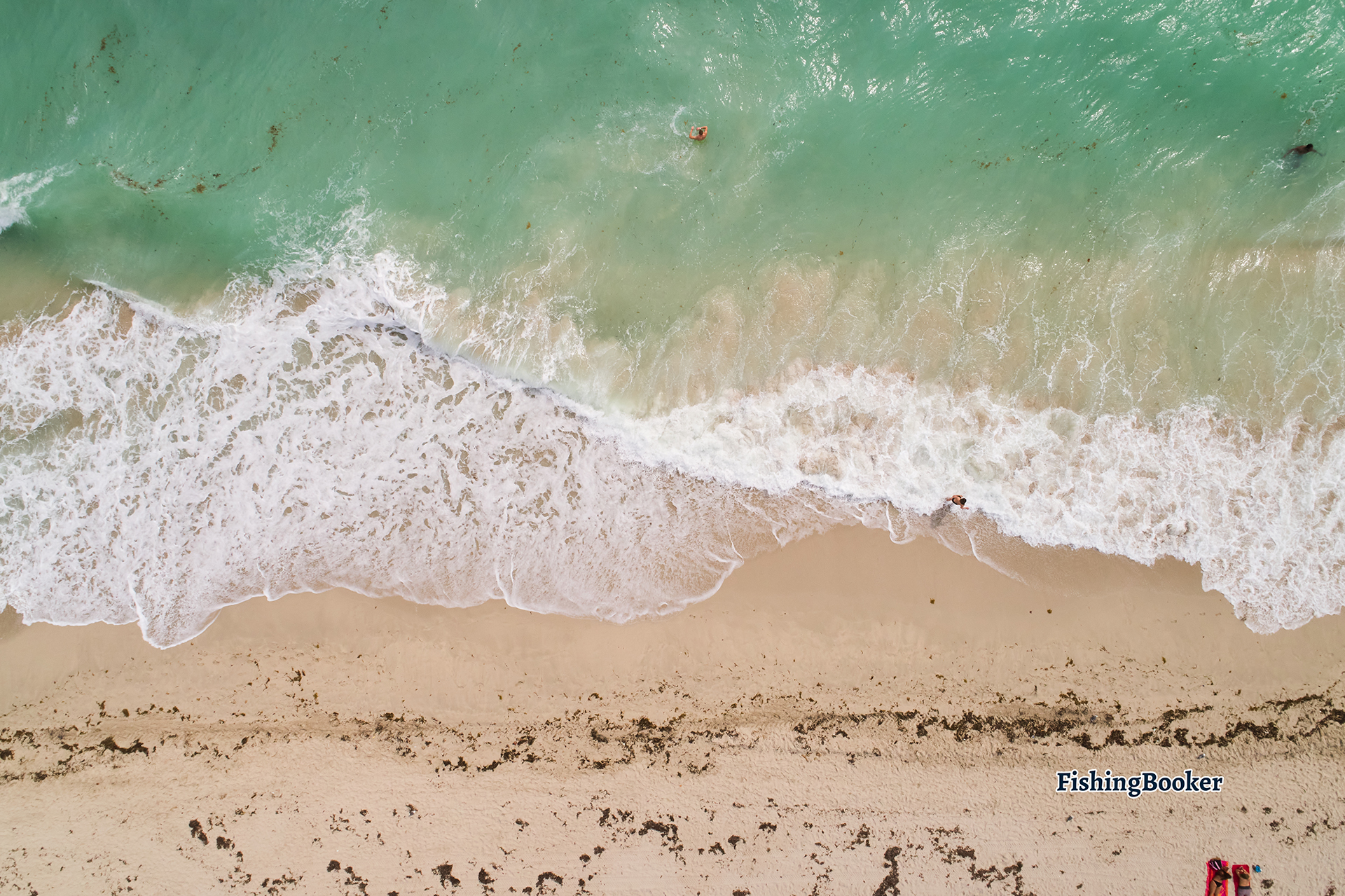 Fly Fishing Zoom Background