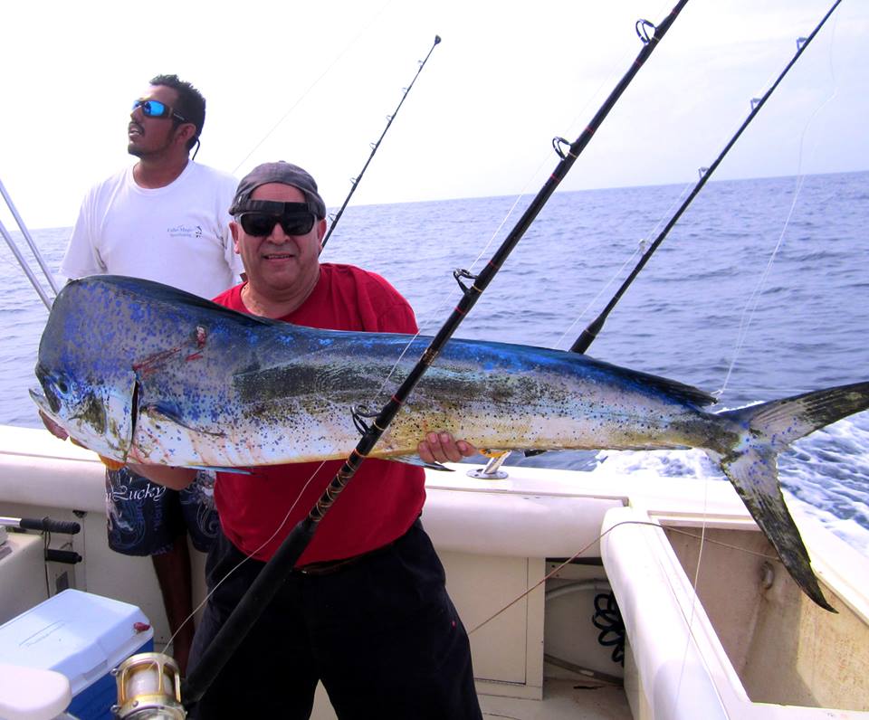 Dorado fiske I Cabo: en fisker som holder En Stor Dorado (Mahi Mahi) på en fiskebåt