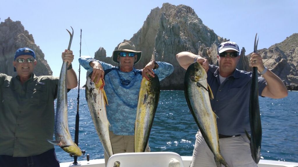 Trois pêcheurs sur un bateau, chacun tenant deux poissons dorado