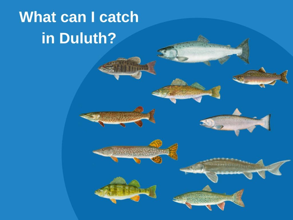Fishing in Duluth, Minnesota A Complete Guide Gary Spivack