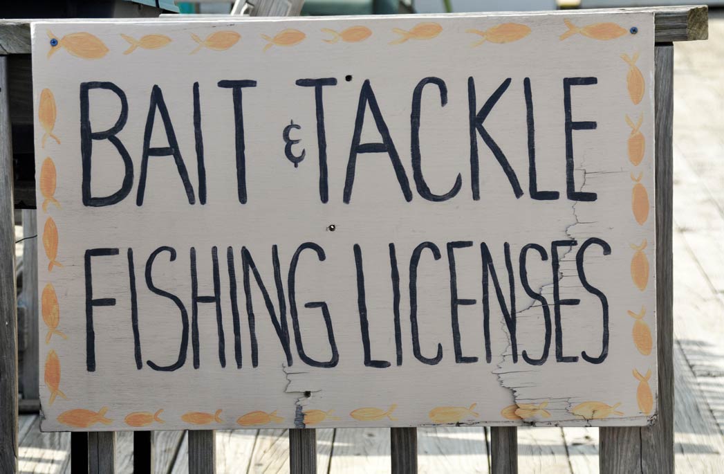 Tennessee Fishing License: The Complete Guide (Updated 2022)