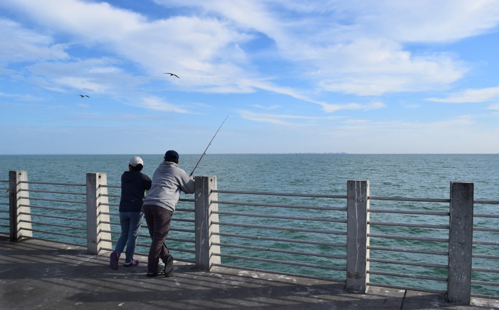 A father and a son standing on a pier with their back to us, father holding a fishing rod with his line in the water, both looking to the left