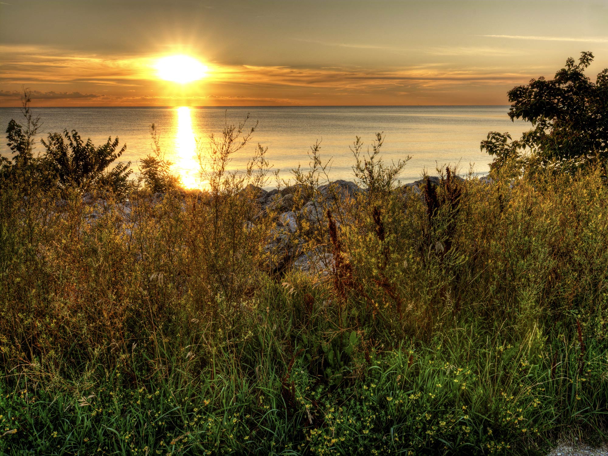  Fishing on Lake Erie Your Complete Guide Gary Spivack