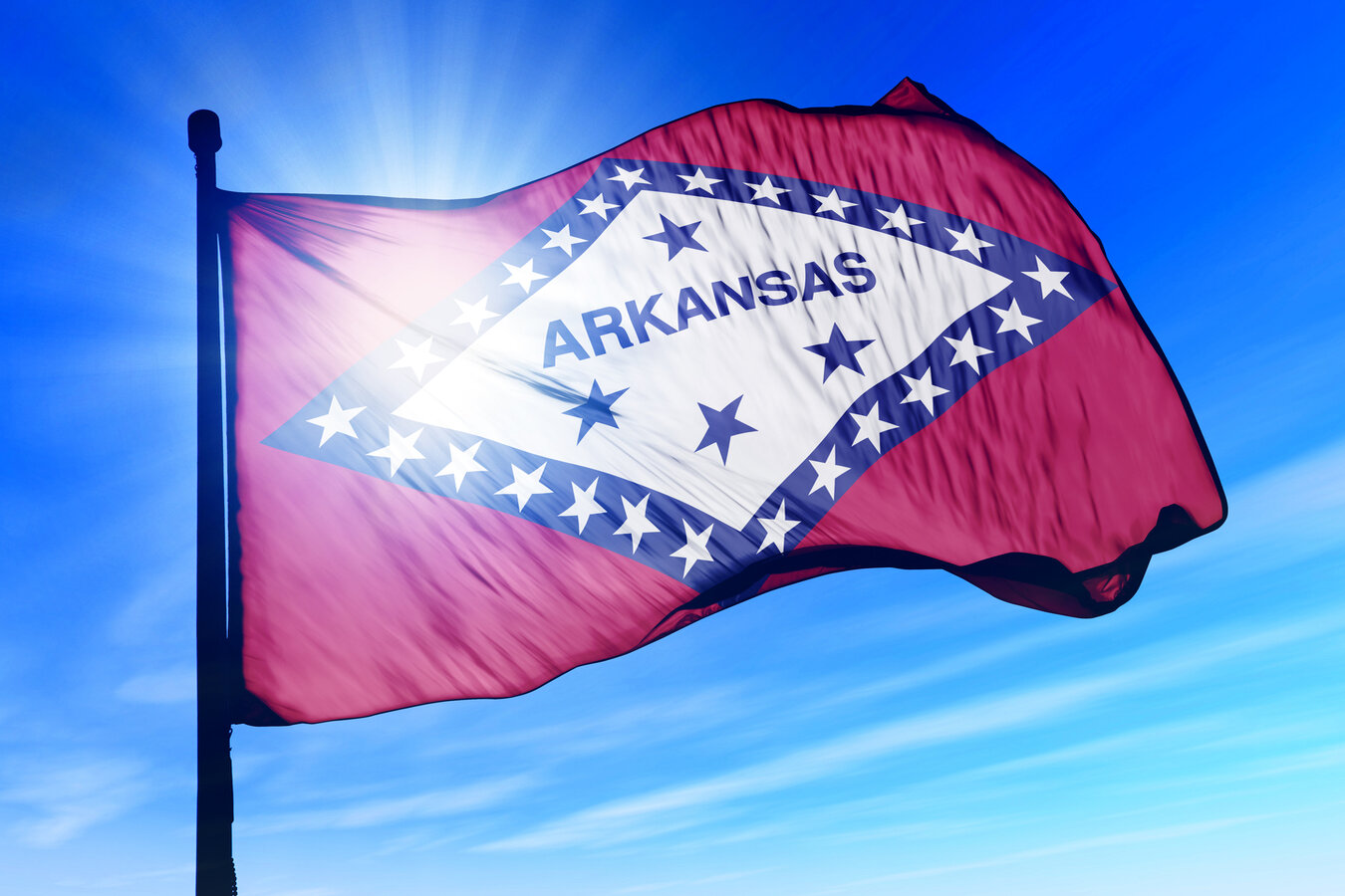 Arkansas State Fish A Southern Behemoth