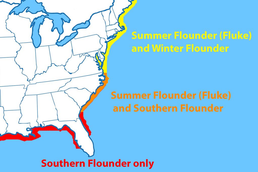 A map showing the distribution of Southern Flounder, Fluke, and Winter Flounder on the US East Coast. Southern Flounder is marked in red, the overlap of Southern Flounder and Fluke is marked in orange, and the overlap of Fluke and Winter Flounder is marked in yellow.