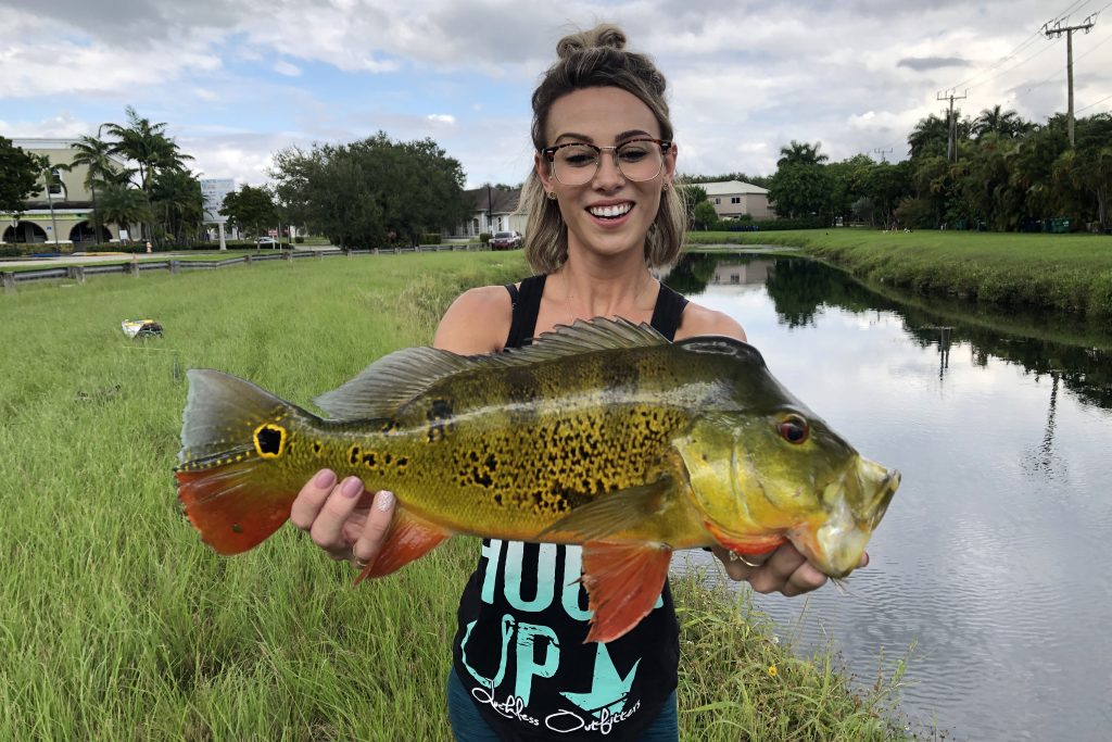 A happy man holding a Peacock Bass on the bank of a canal