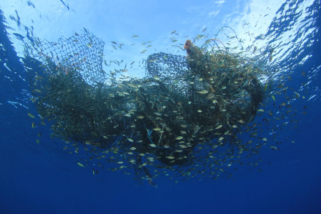 Coral Reef Conservation A Treasure Worth Saving