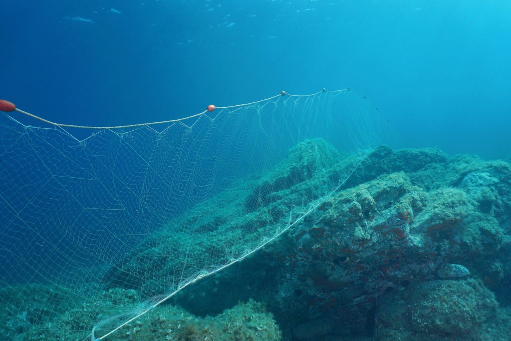 A large gillnet stretched along the bottom of the sea