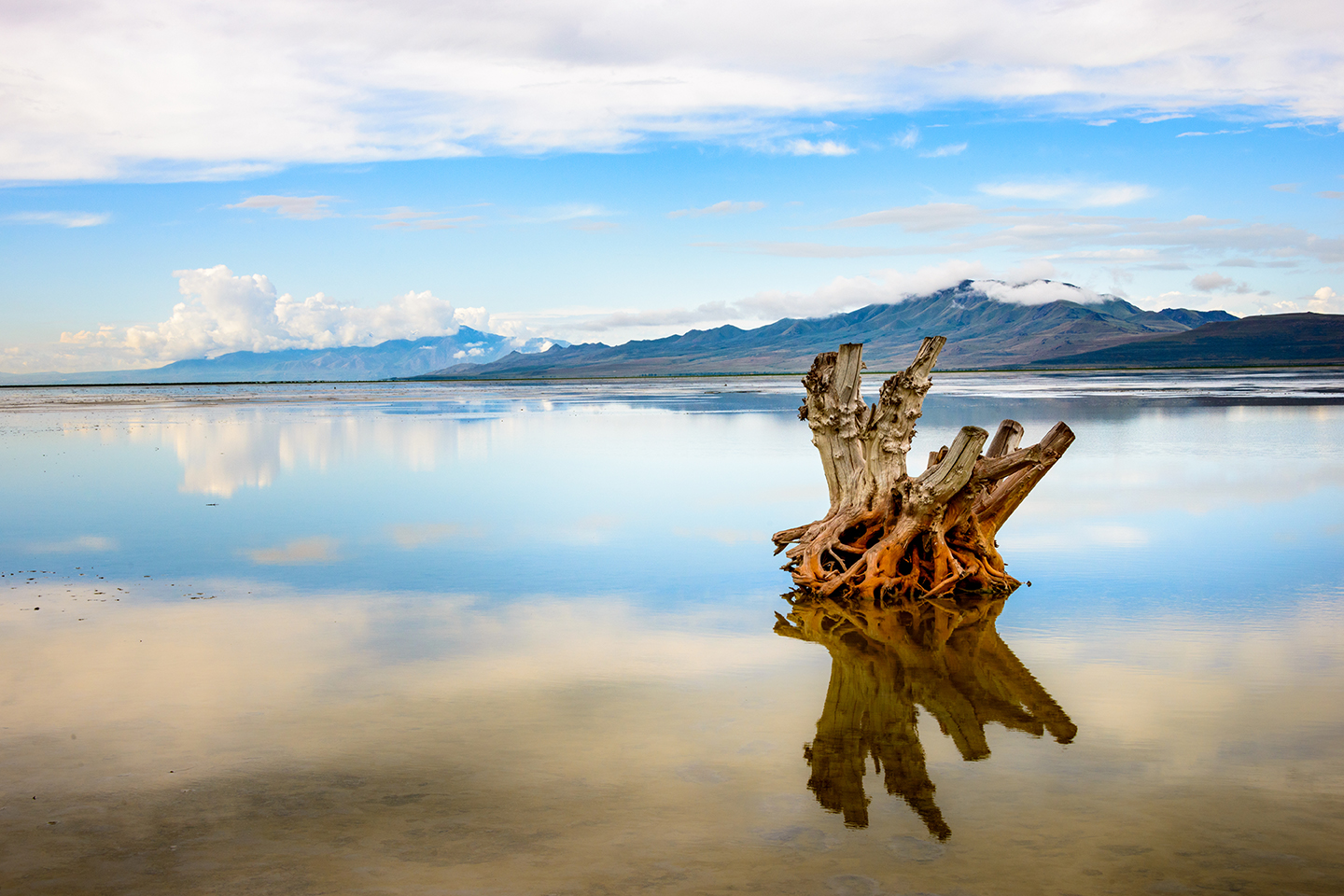 Fishing near Salt Lake City: 6 Great Spots