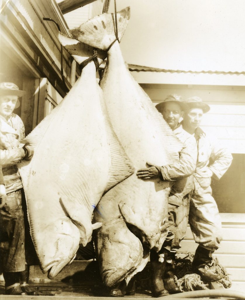 History of Halibut Fishing in Alaska (Updated 2023)