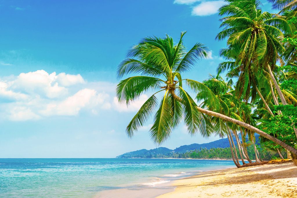 A sunny beach on Hawaii, with palm trees and yellow sand on the right, blue ocean on the left, and mountains in the distance.