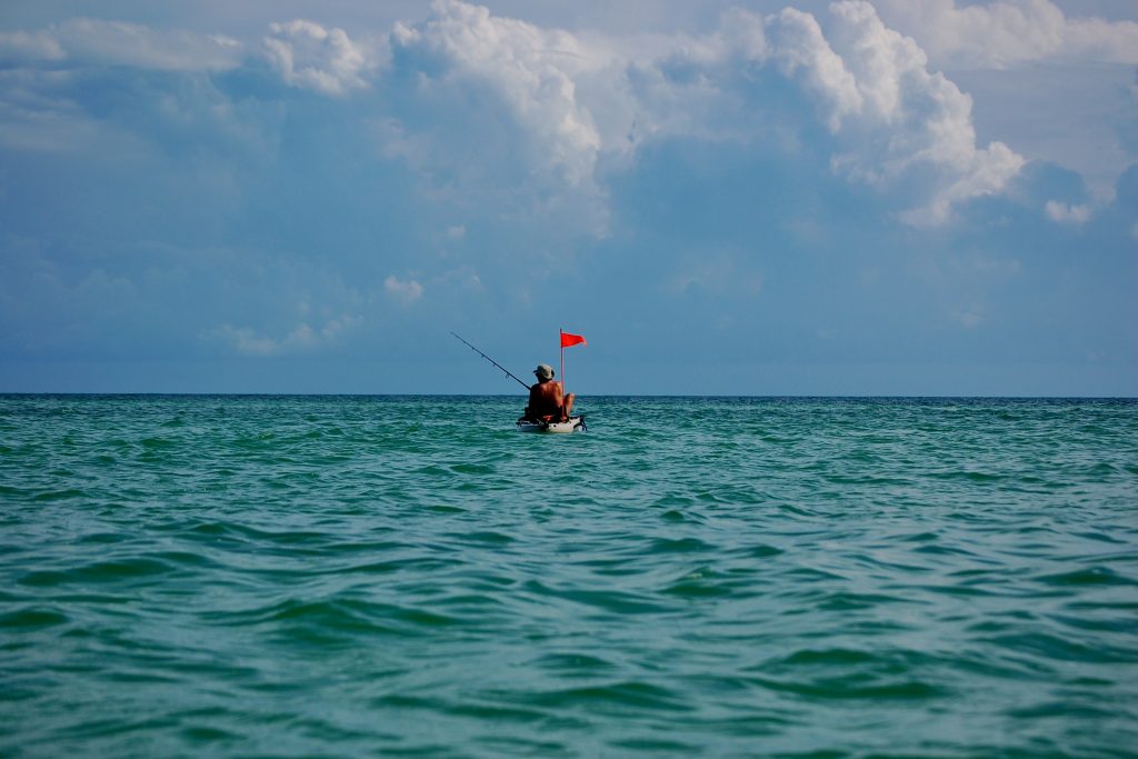 11/21 Key West Kayak Fishing -Sailfish — Florida Sportsman