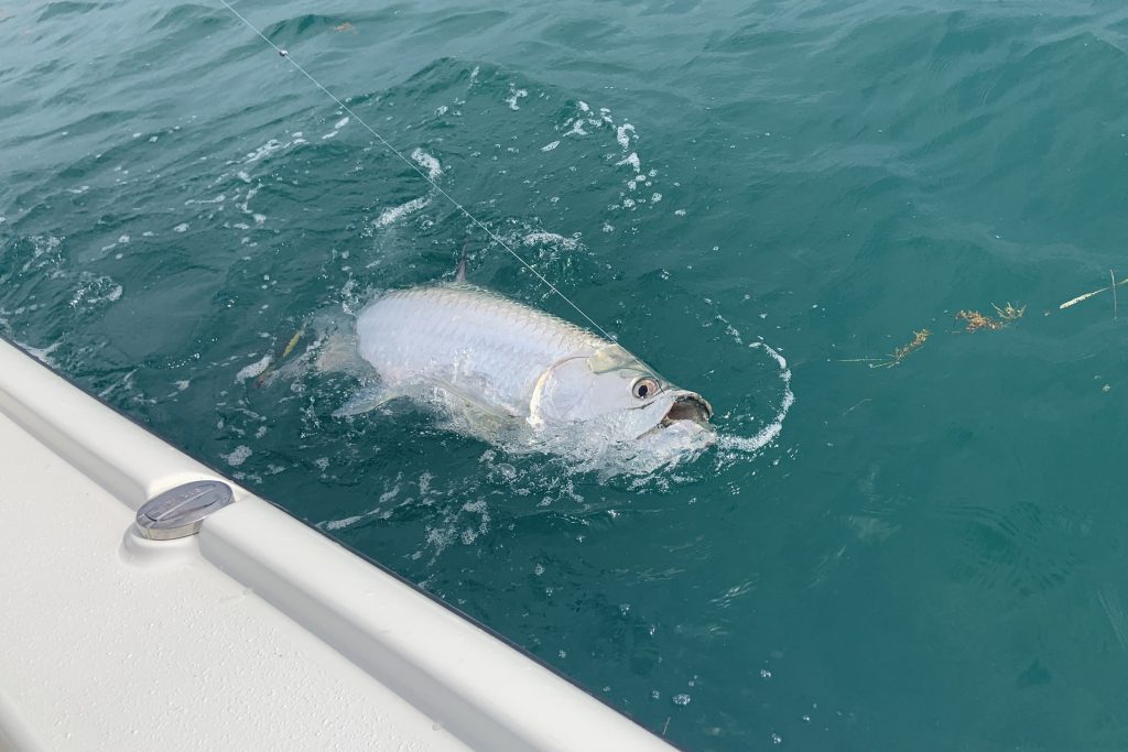 Florida Keys Kayak Fishing - Channel Fun Fishing - YouTube