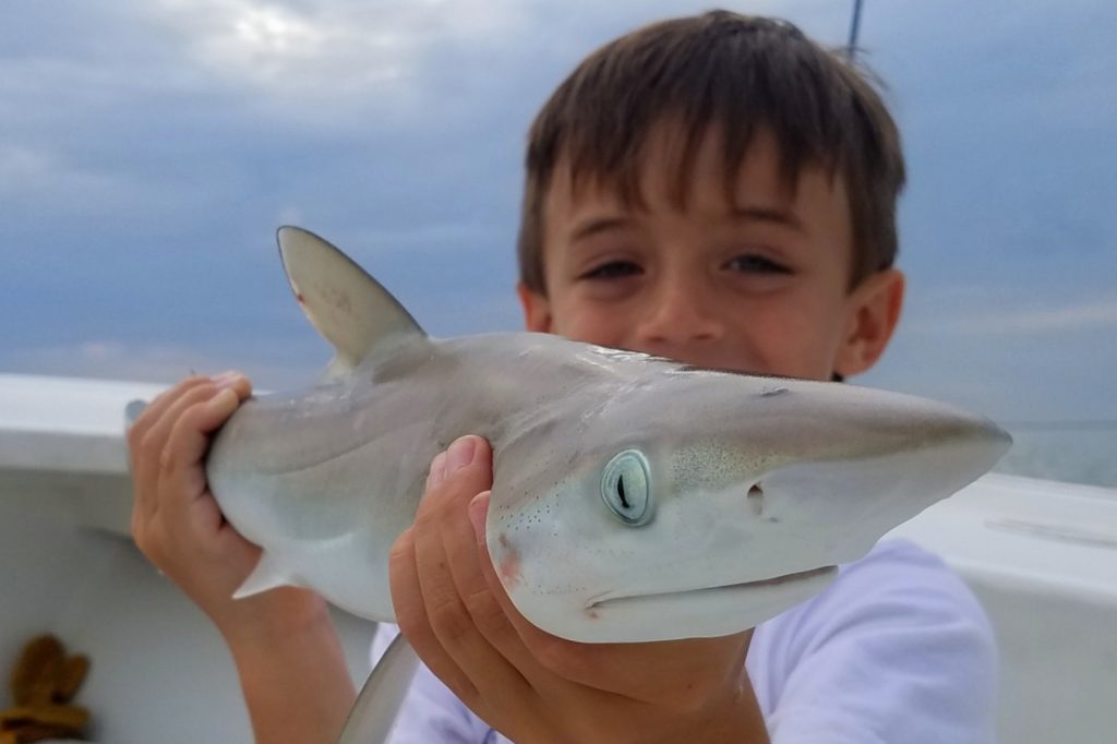 Een jong lachend kind dat een kleine haai vasthoudt op een charterboot