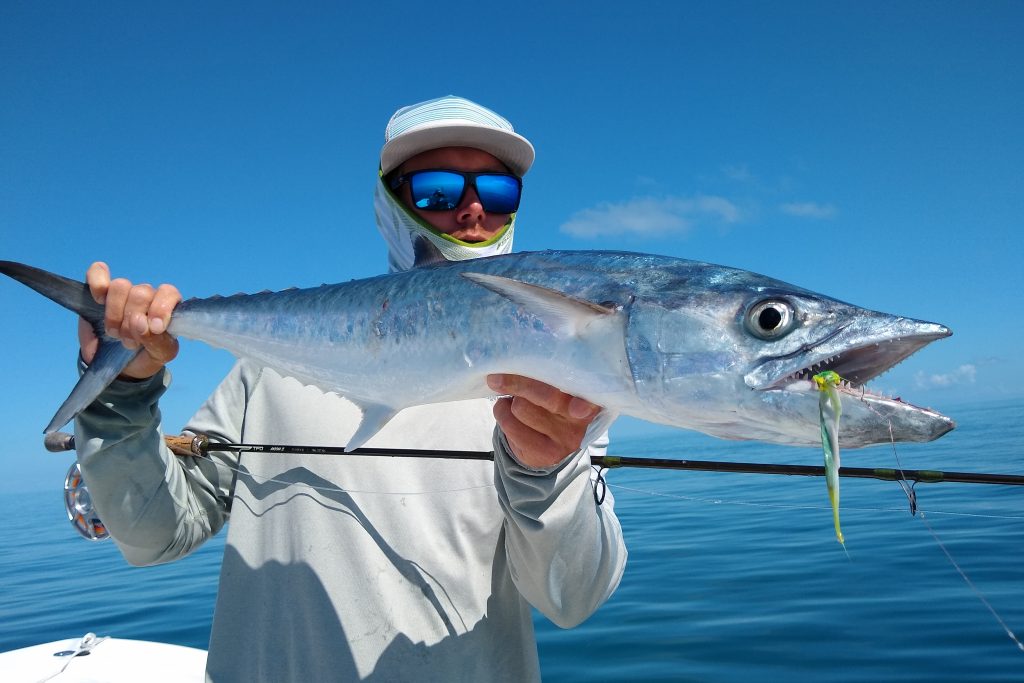 Types of Mackerel in North America