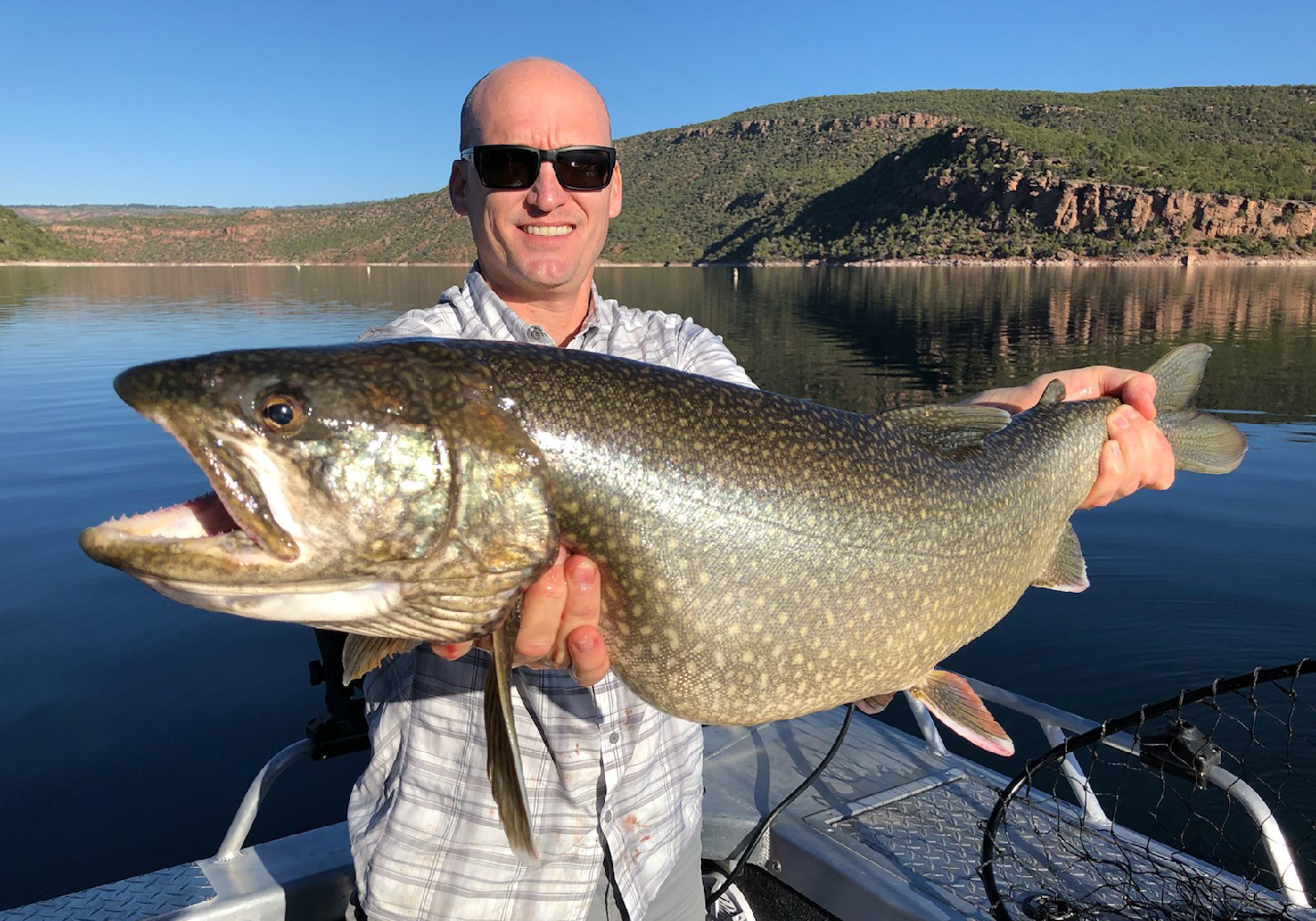 A male angler wearing sunglasses holding a Lake Trout, the biggest of all the Trout of North America. Behind him you can see water and the banks of the lake in the distance.
