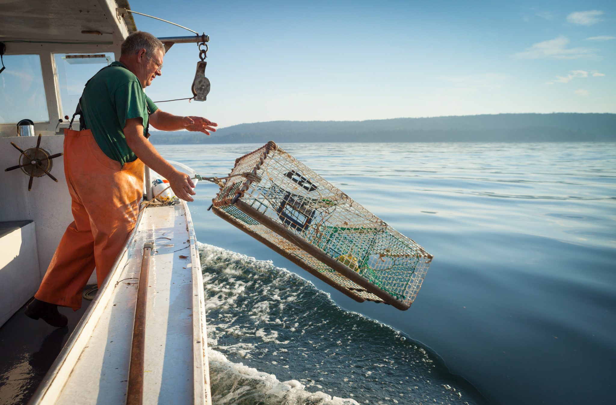 Lobster Season Nl 2024 - Vin Merridie