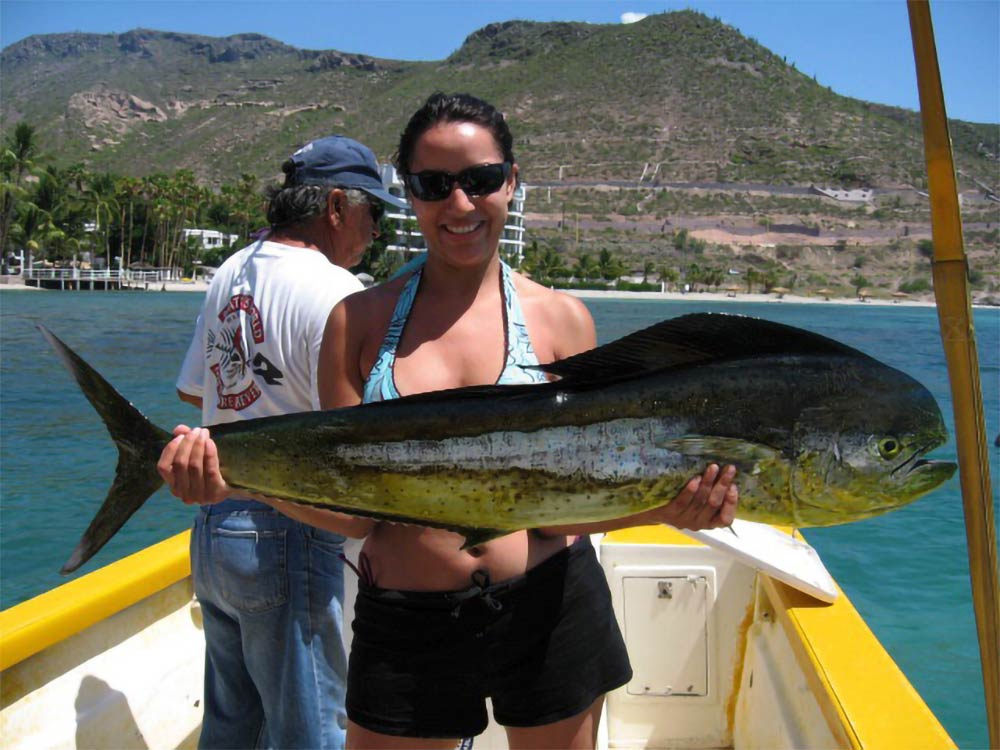 la paz fishing trips