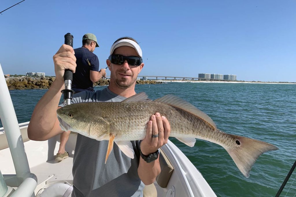 Dauphin Island Fishing The Ultimate Guide Gary Spivack