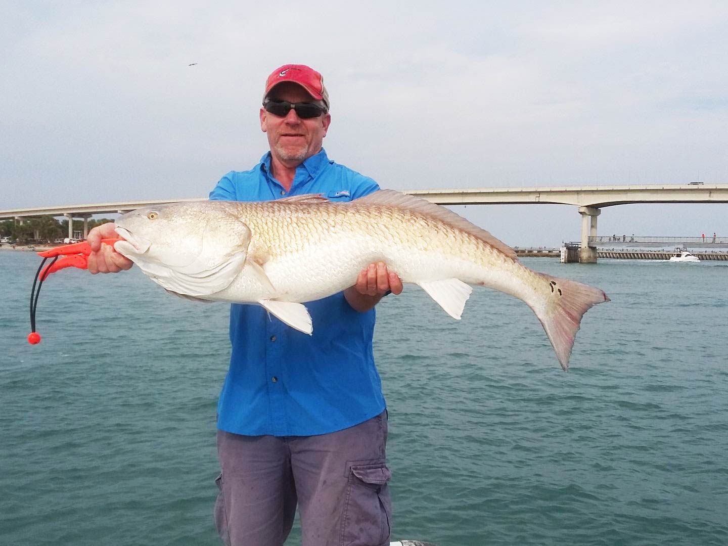 Un homme se tient sur un bateau tenant un gros Redfish devant le pont de Sebastian's bridge