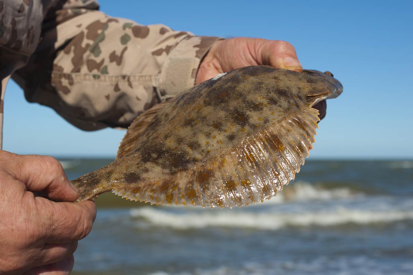 Mobile, Alabama Fishing The Complete Guide (Updated 2023)