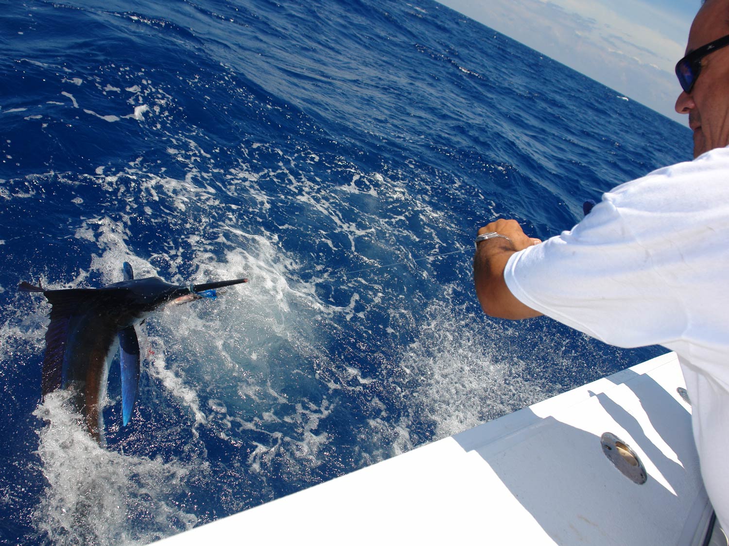 grand bahamas fishing trips