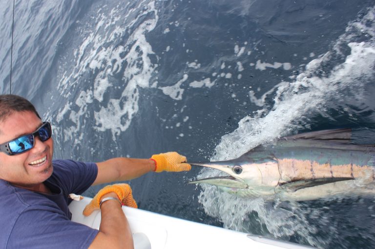 How to Fish for Marlin The Complete Guide