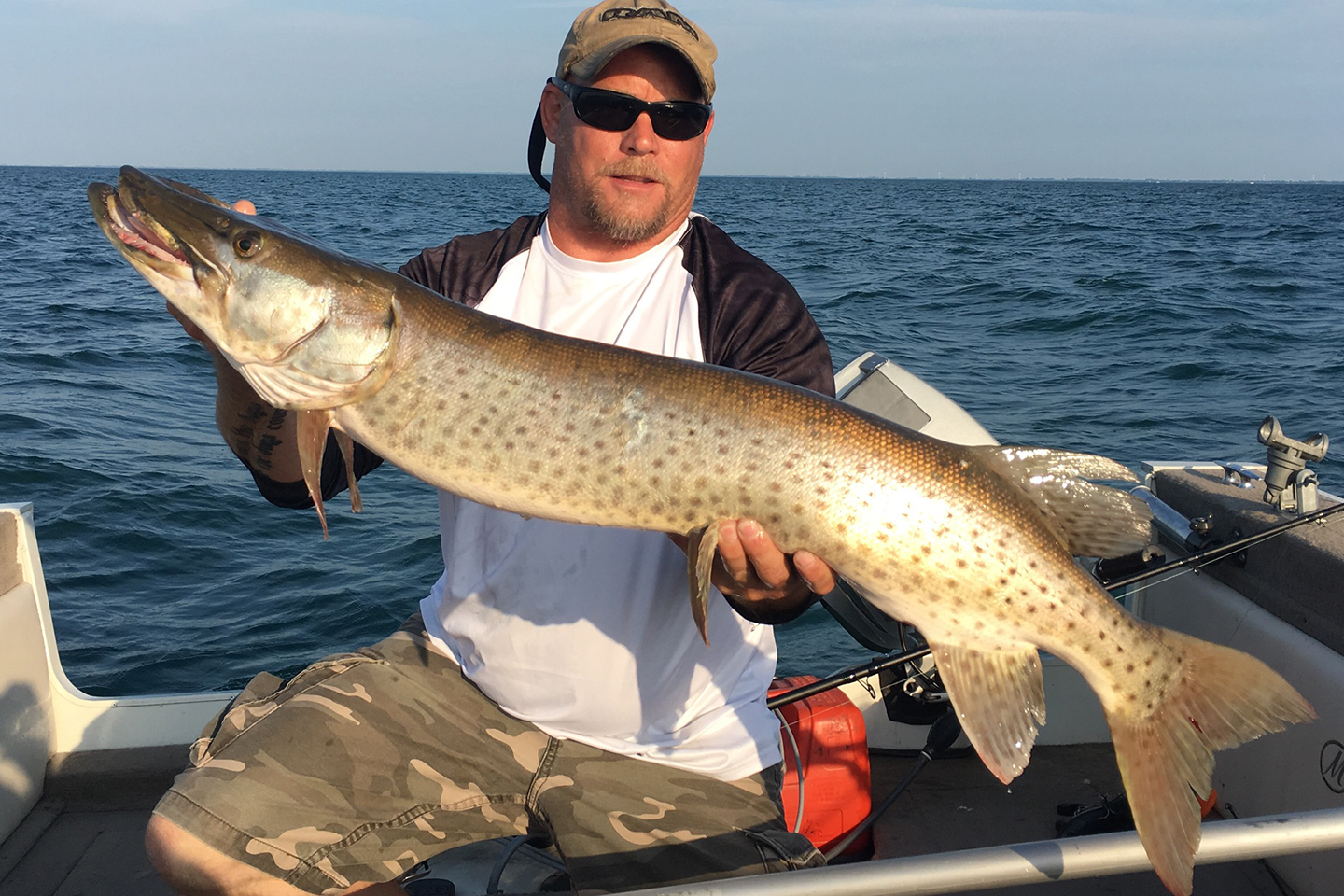 An angler in sunglasses and a cap holding a large Musky fish on a boat.