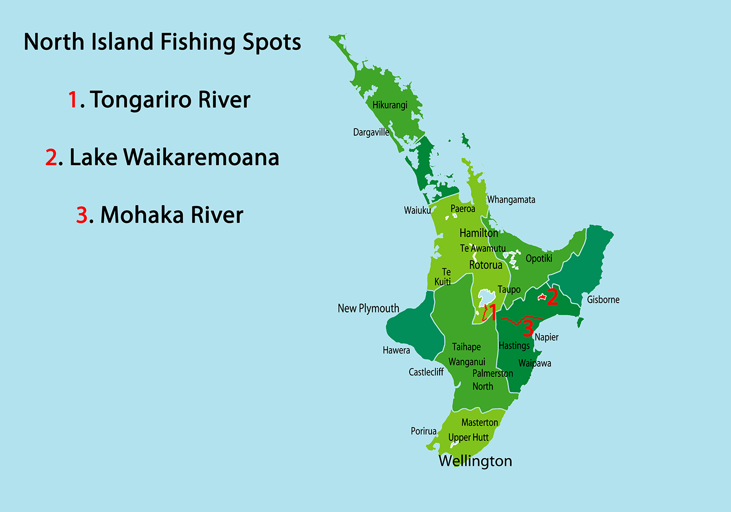 How to Go Fly Fishing in New Zealand The Complete Guide (Updated 2023)