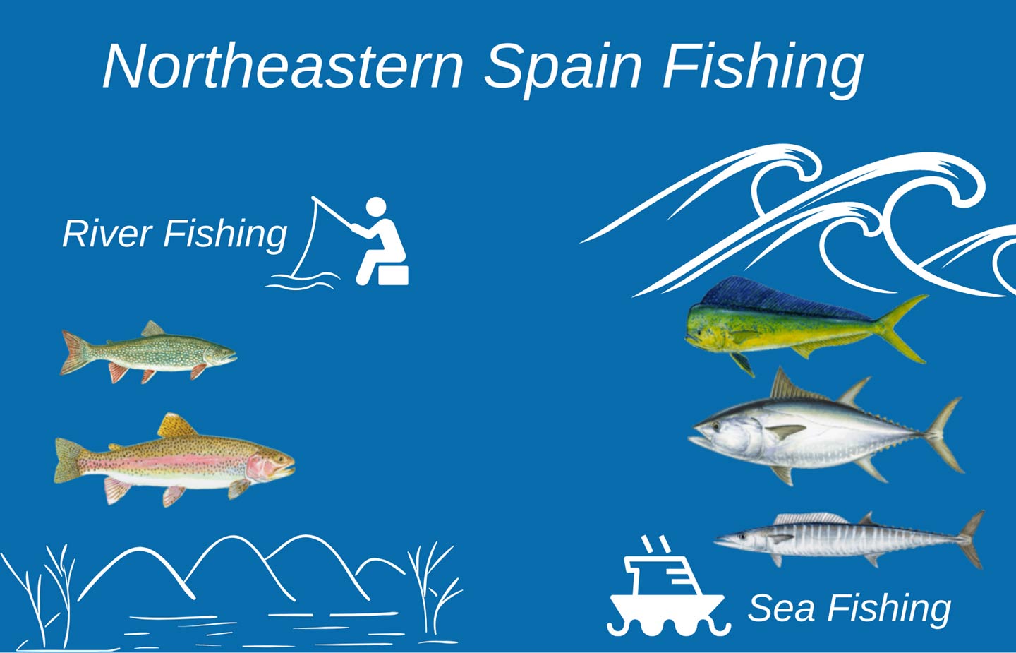 Fishing in Spain All You Need to Know
