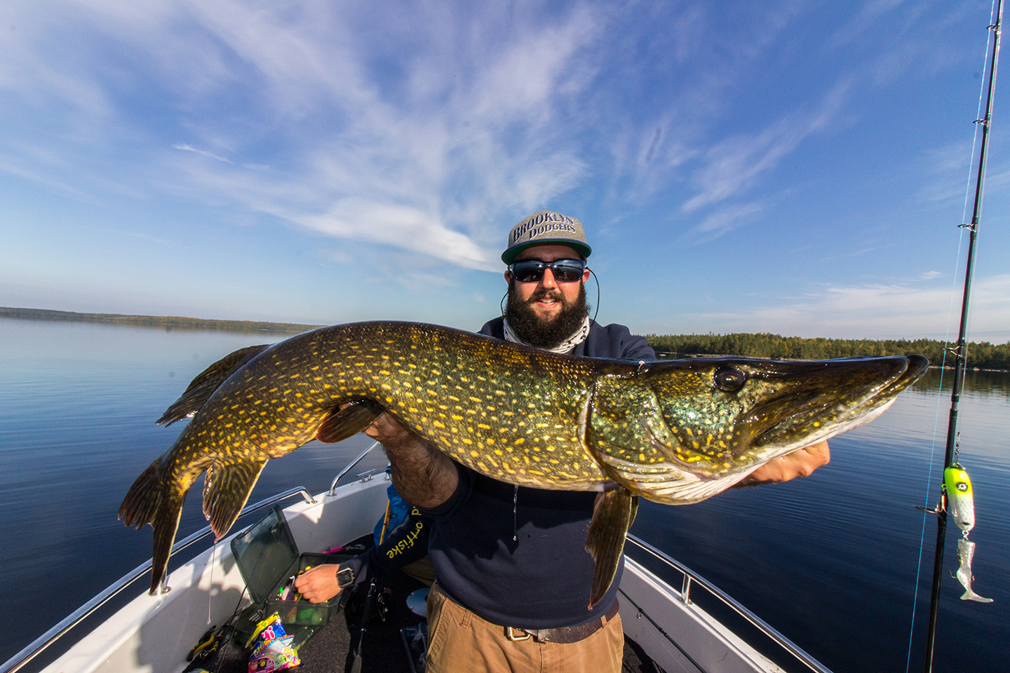 muskie fish