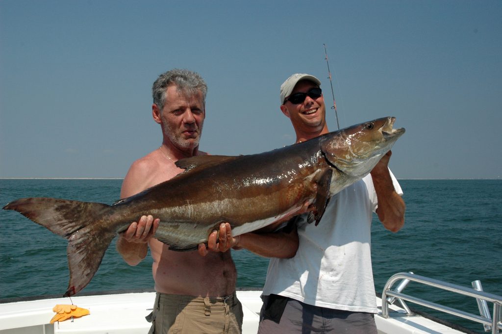 Two fishermen standing on a fishing boat holding a large Cobia, with open waters and blue skies in the background