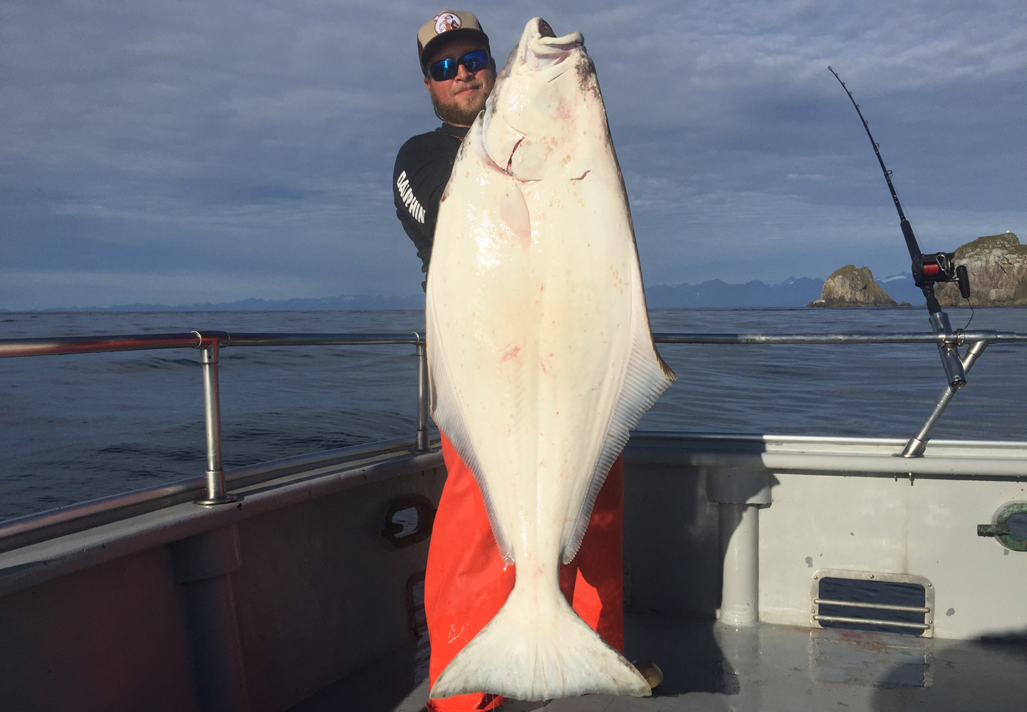 Halibut vs. Flounder All You Need to Know