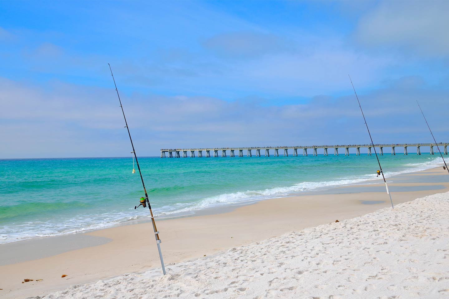 Panama City Beach Fishing: All You Need to Know