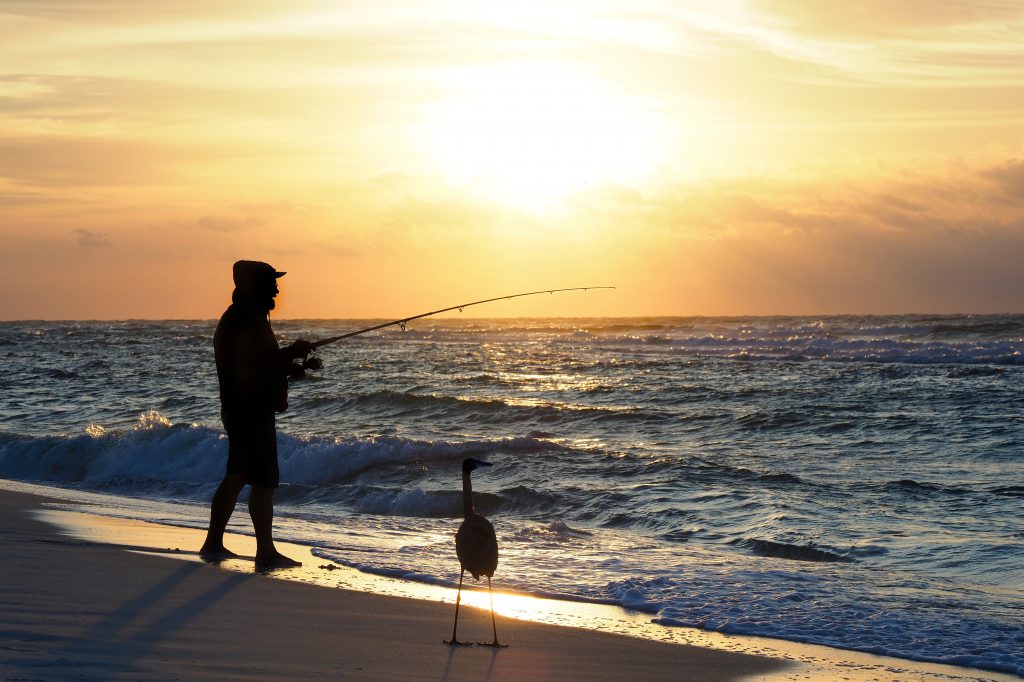 A man surf fishing on a beach at sunrise, with a large bird standing nearby