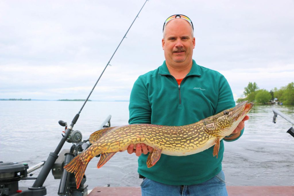A male angler holding a Northern Pike caught in Lake Ontario.