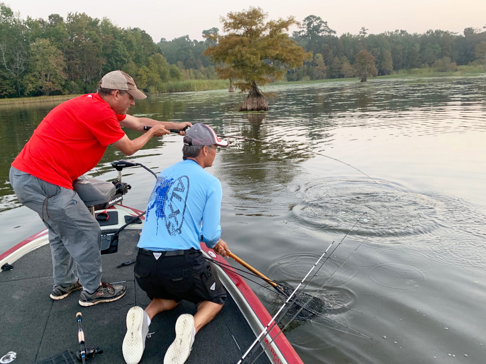 Santee Cooper Fishing The Complete Guide (Updated 2023)