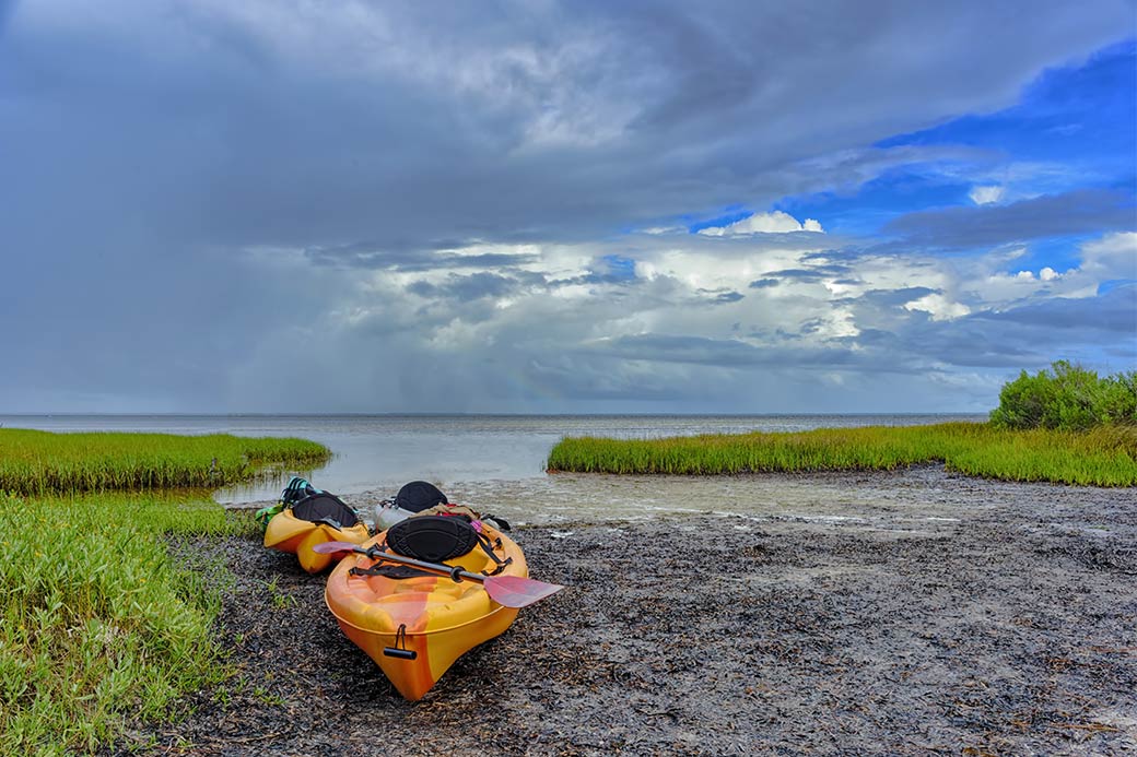 Port St. Joe Fishing: The Complete Guide (Updated 2023)