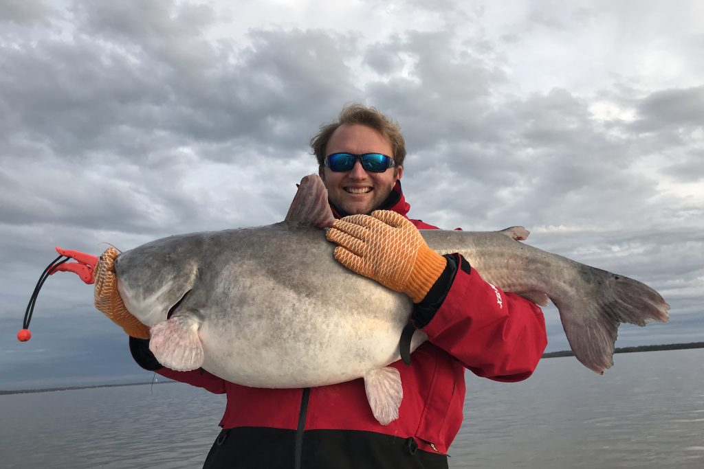A happy angler holding a trophy Blue Catfish on a cloudy day.