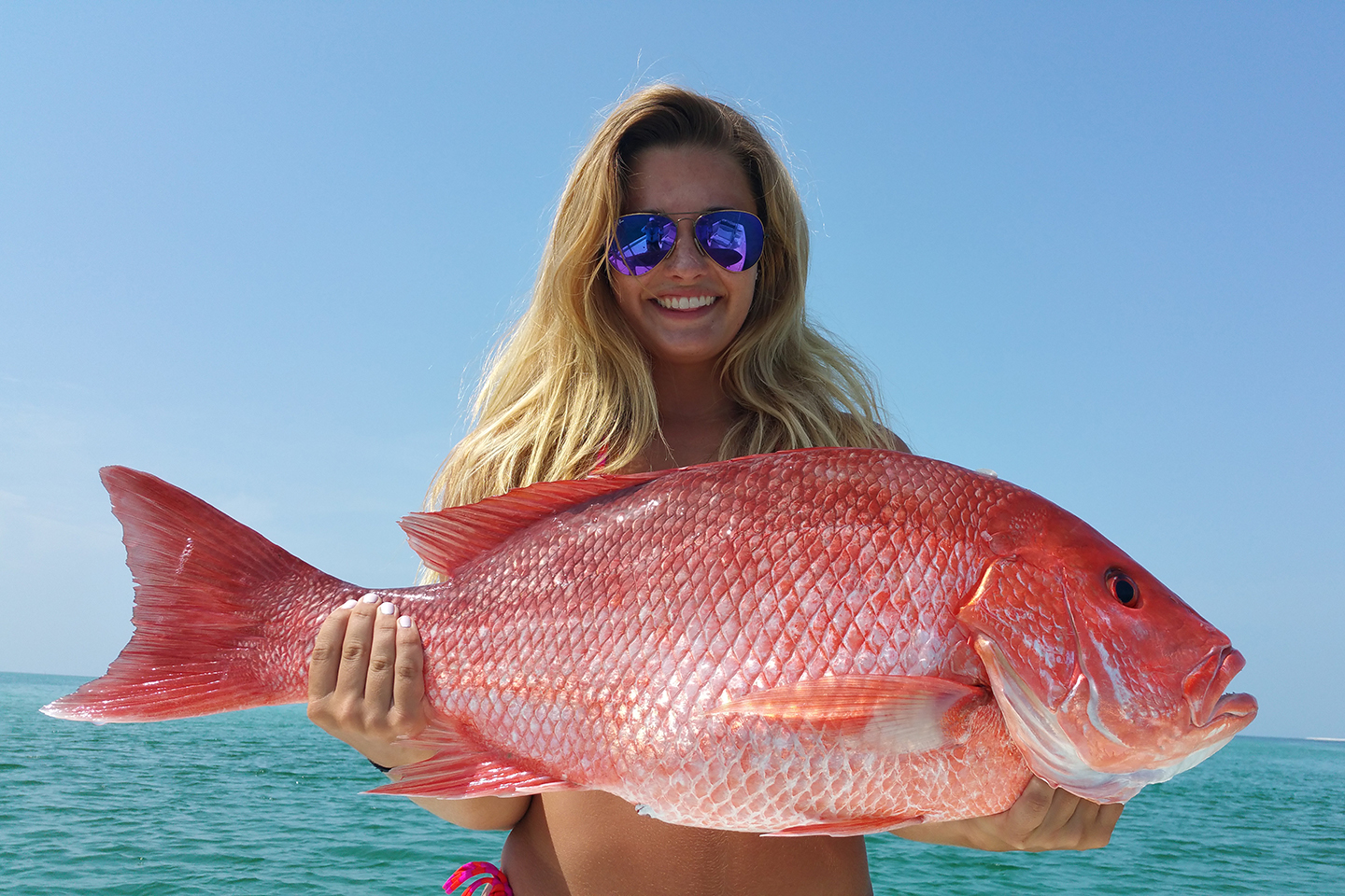 snapper fish