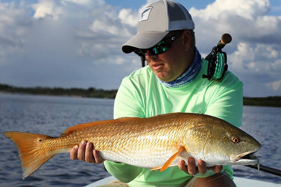 A fisherman holding a nice Redfish and looking admiringly at his catch