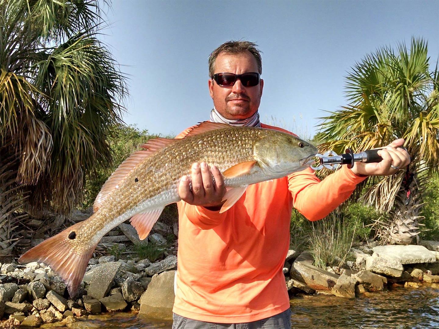 The Ultimate Guide To Alabama Fishing : Jigging Fishing Like A Pro: The